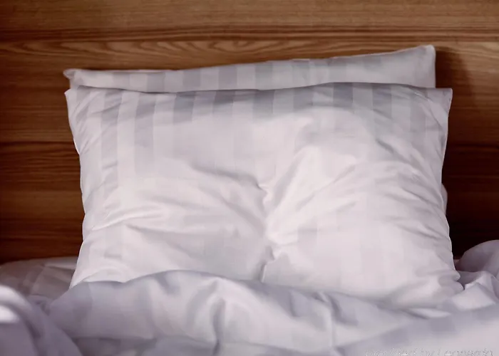 Scandic Torget 酒店